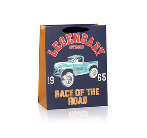 Borsa Regalo Moderna in Plastica per Auto, Accessori per Veicoli - Product Image 1