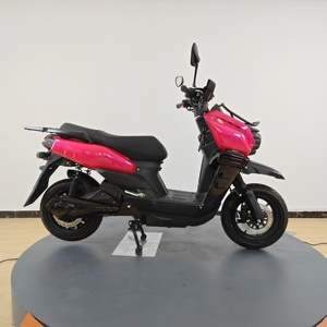 Motocicleta Eléctrica de Alto Rendimiento Equipada con un Motor de 1500W y una Batería de Plomo-Ácido que Ofrece un Gran Alcance - Product Image 6