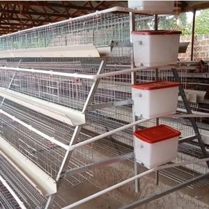 Prix des cages à poulets commerciales, <span class=keywords><strong>type</strong></span> 3/4 niveaux, cages à poules pondeuses, cages à poulets en batterie pour les élevages avicoles en Afrique du Sud - Product Image 4