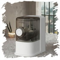 Machine à pâte électrique automatique en plastique de qualité alimentaire pour usage domestique, pour la cuisson de pizzas, pains, pâtes et nouilles, 260W, garantie 1 an