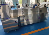 Multifunctionele Plc Controle Continue Fruit Mango Zeevruchten Vlees Wassen Blancheren Koelmachine