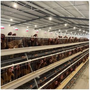 Grande Maison Portable Poulailler Automatique Construction Industrielle Promotion Pas Cher Cage à Poules Pondeuses en Métal Enclos Chaud Nouveau - Product Image 6