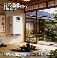 Baterai Lithium Ion 15kWh 48V 51.2V 300Ah untuk Sistem Tenaga Surya Terpasang di Dinding dengan Roda