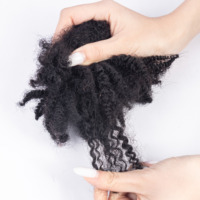 Cheveux Afro Crépus Humains en Gros Très Vendus de Haute Qualité à Bas Prix pour Dreadlocks 30g 50g 100% Cheveux Humains à Tresser Couleur Naturelle