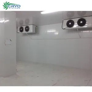 hybrid tomato seeds 10 ton coldroom cold storage yelp cold storage for sale