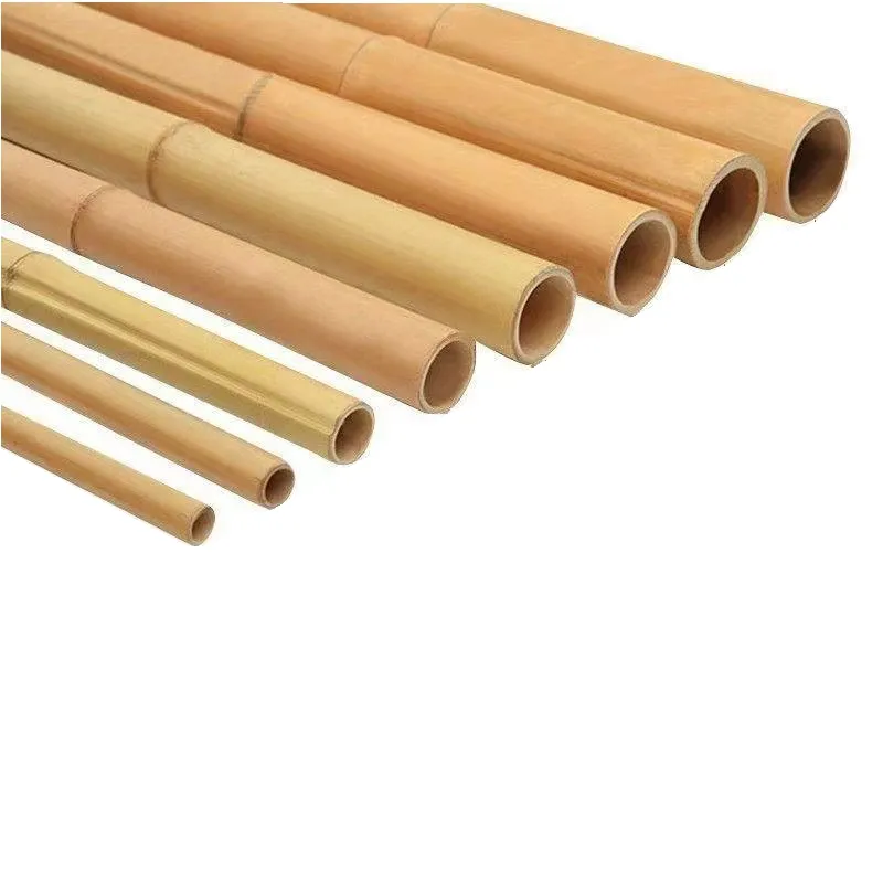 Different Size Natural Green Bamboo Cane Big Pole Natural Straight Agriculture Cheap Raw Bamboo Plant Support