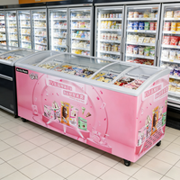 Congélateurs de présentation de crème glacée au prix d'usine, 546 L, congélateur de présentation de sucettes glacées, vitrine de congélation pour crème glacée