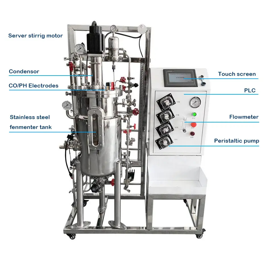 Ruiyuan-Bioreactor de fermentación, sistema de inmersión, fermentador, Bioreactor, probiótico, alimentado por lotes, precio de acero inoxidable