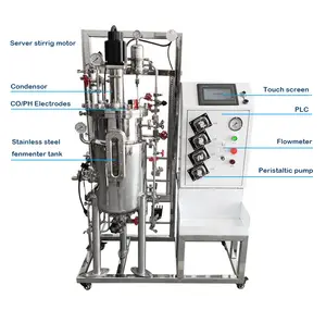 Ruiyuan Manufacturer Fermentation Bioreactor Immersion System Fermenter Bioreactor Probiotic Fed Batch Stainless Steel Price