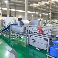Volledig automatische industriële aardappelwas- en schilmachine voor 5 ton per uur, knoflookmachine en borstelapparatuur voor het reinigen van wortelgewassen