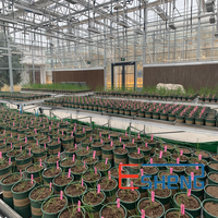 Sistema Automatizado de Monitoreo Multisensor para el Crecimiento de Plantas, Sistema de Fenotipificación de Alto Rendimiento, Plataforma de Fenotipificación de Plantas Personalizada