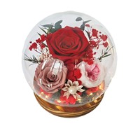 Kubah Kaca Bunga Awet Mawar Asli - untuk Hari Valentine, Hari Ibu & Pernikahan; Hadiah Bunga Awet Terlaris