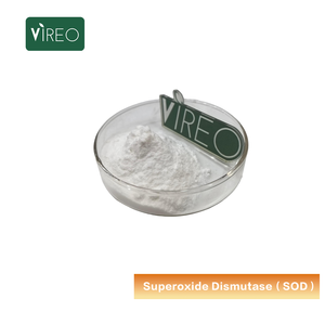 Супероксиддисмутаза (СОД) в порошке, 20000 МЕ/г, высококачественный, бесплатный образец, растительный экстракт - Product Image 1
