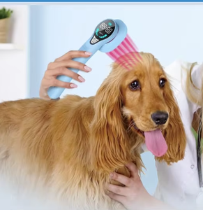 Dispositivo de Acupuntura para el Hogar, Nuevas Invenciones, Equipo de Fisioterapia, Terapia Láser para Mascotas, Alivio del Dolor Articular - Product Image 3