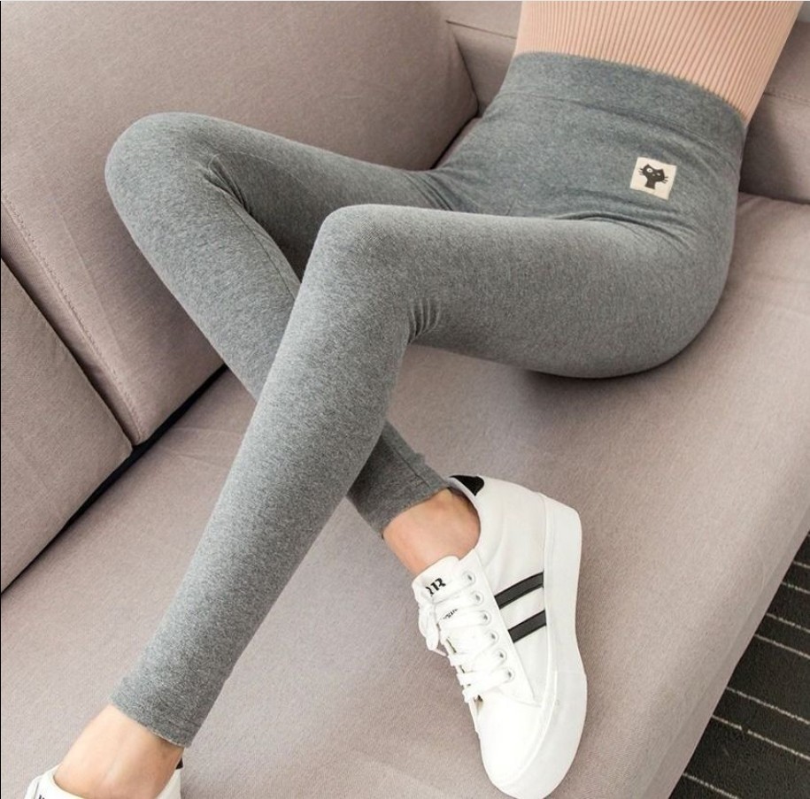 Gris avec chat