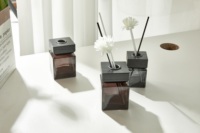 Flacon de diffuseur de roseau en verre vide noir de parfum de luxe personnalisé de 100ml avec bouchons et boîte