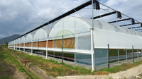 Serre agricole multi-chapelles en film, solution clé en main pour la culture hydroponique de tomates, à vendre