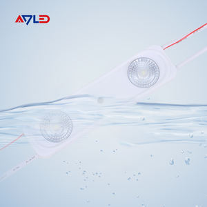 Injection <b>LED</b> Module IP65 IP67 12V 2835SMD 1.5W 2LEDs for Commercial Backlit Sign Projects - Product Image 2