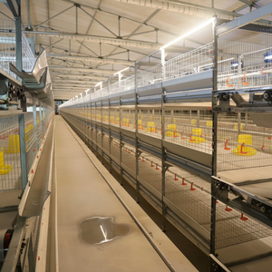 Surfaces faciles à nettoyer parfaites pour les poulets de chair de coin de patio soulevant une cage à poulets multicouche sans tracas - Product Image 1