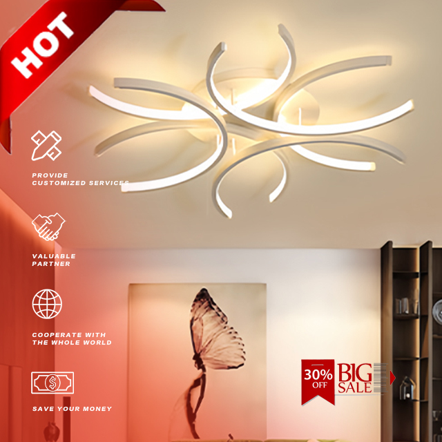 Modern LED Ceiling Lamp for Indoor Living Room Bedroom Lighting Home Decorative Remote Minimalist Stainless Steel Bathroom
