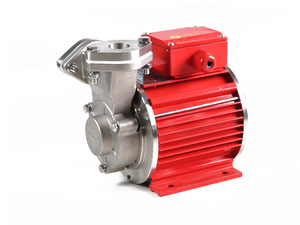 Bomba de Agua Superficial de 3HP de Primera Categoría para Transferencia Industrial, Bomba con Motor Enlatado - Product Image 2