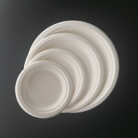 Assiette alimentaire jetable biodégradable en bagasse de canne à sucre de 7 pouces, écologique, compostable, légère, pour mariage, fête, et compatible micro-ondes