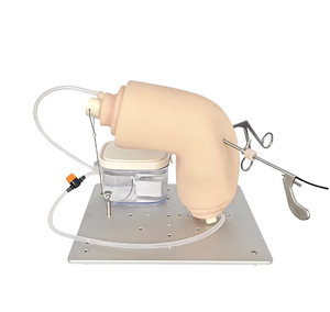Nouveau modèle d'articulation du genou ZHIZAO, modèle d'endoscope perfusable, modèle de formation médicale, modèle de formation endoscopique sous-marine - Product Image 3