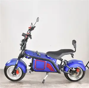 New Double Shock Absorber 100Km Long Range EEC COC Certificate Three Wheels Electric Scooter Atv