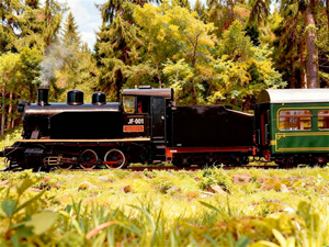 Locomotiva a Vapore per Ferrovie Turistiche e Visite a Parchi Tematici - Product Image 3