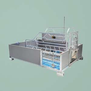 Prix d'usine Nouvelle cage de maternité pour porcs en acier galvanisé à chaud anti-corrosion, durée de vie de 15 à 25 ans, système d'alimentation entièrement automatique - Product Image 4