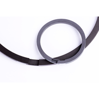 Joints de remplissage en Ptfe de haute qualité et petit compresseur d'air sans huile, anneau de guidage, anneau de Piston