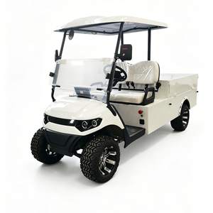 2-Seater Electric Golf Cart with Cargo <b>Box</b> - Product Image 1