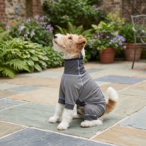 Abbigliamento Personalizzato per Cani all'Ingrosso, Giacca Regolabile Traspirante e Leggera per Bassotto e Cani di Piccola Taglia - Product Image 6