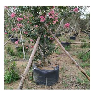 HOKBG anti-uv azienda agricola all'aperto ad alta resistenza 45 50 60 200 gallone grande PP tessuto piante nere da giardino per grape mirto - Product Image 1