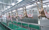 Ligne complète d'abattage de moutons, équipement d'abattoir pour moutons, chèvres et agneaux, machine de traitement du mouton halal