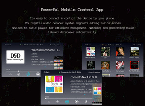 Çin Eweat DMP50 kayıpsız oyuncu dokunmatik ekran ile dahili bir ES9038PRO çip dijital ses çalar - Product Image 6