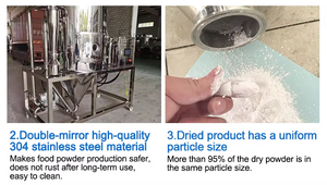 Secador en aerosol para encapsulación de sabores y fragancias - Product Image 5