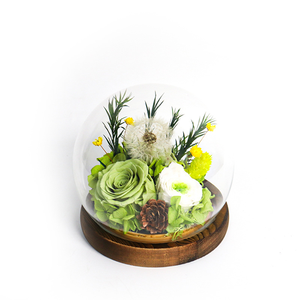Diente de León Preservado, Flor <span class=keywords><strong>Eterna</strong></span>, Regalo Hecho a Mano, Adornos Creativos, Cumpleaños, Romántico, Novia, Bola de Cristal, China, Inmortal - Product Image 5