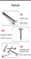 Q195 Nail Factory Supply Harden Galvanisé à Chaud Plat Grande Tête En Acier Métal Toiture Clouts Clou pour la Construction