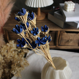 Flores de Pistacho Secas al por Mayor, Vainas de Pistacho Naturales Reales, Flores Secas para Decoración de Bodas y Navidad - Product Image 5
