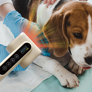 Alat Terapi Hewan Berkualitas Tinggi <span class=keywords><strong>VS</strong></span>-V635, Instrumen Terapi Cahaya Merah Biru untuk Hewan Peliharaan, Instrumen Perawatan Laser - Product Image 4