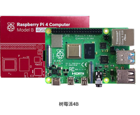 Tom Raspberry Pi 4 4GB 8GB Placa de Desarrollo de Cuarta Generación para Diseño Informático en Python