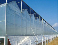 Serre commerciale multi-travées en polycarbonate pour les légumes, les fruits et les fleurs