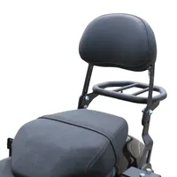 BENDA Black Flag 500 Sissy Bar avec dossier BD500-2A en acier inoxydable, support de bagages arrière, boîte latérale, sacoche arrière, adapté aux cruisers
