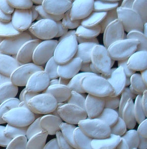 Proveedor de China, semillas de calabaza <span class=keywords><strong>blancas</strong></span> como la nieve sin cáscara secas sin cáscara, semillas de calabaza con piel brillante - Product Image 5