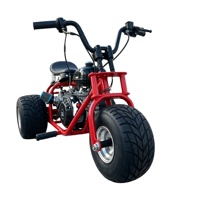 Mini Trike à Essence pour Adultes, 3 Roues, Tout-Terrain, Karting, Véhicule de Course en Montagne