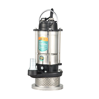 Pompe submersible QDX en acier inoxydable à prix avantageux, 1,1 kW, 220 V, pompe à eau électrique pour usage domestique