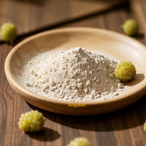 Оптовая продажа, натуральный органический косметический порошок экстракта белого тутового дерева, косметический порошок белого тутового дерева - Product Image 3