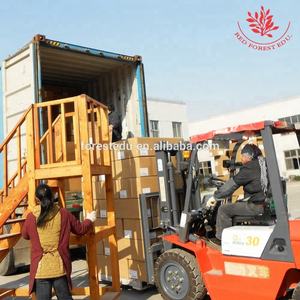 Honden Kniegewricht Modelstadia Van Hondenosteoporose Model - Product Image 6