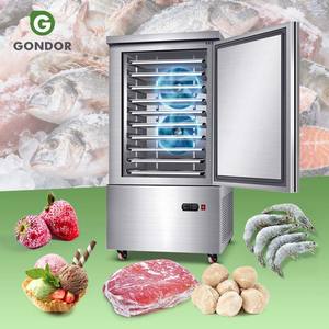 เครื่องแช่แข็งขนาดเล็กอุตสาหกรรม 15 แรงม้า แบบ IQF สำหรับไก่ 5 ตัน มันฝรั่งทอด เกี๊ยว และอื่นๆ - Product Image 1